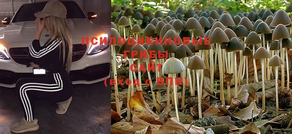 не бодяженный Осинники