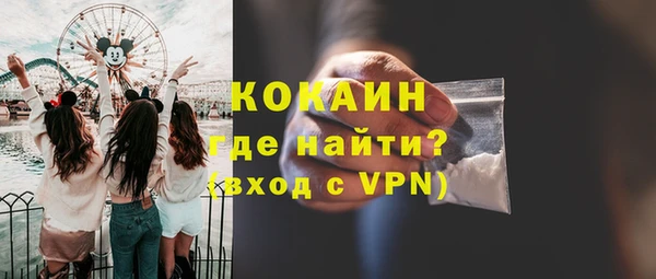 мдпв Осташков