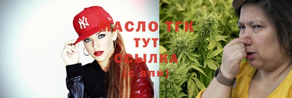мдпв Осташков