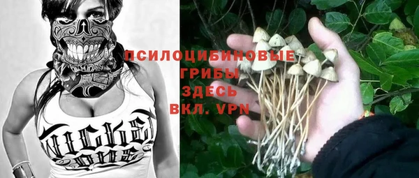 мдпв Осташков