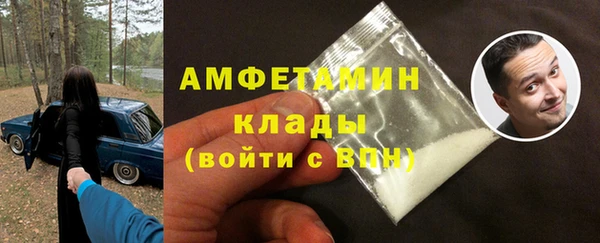 мдпв Осташков